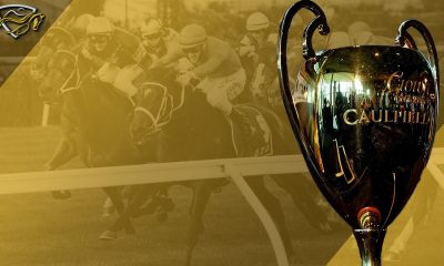 2020 Caulfield Cup Preview