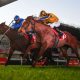 Moonee Valley tips