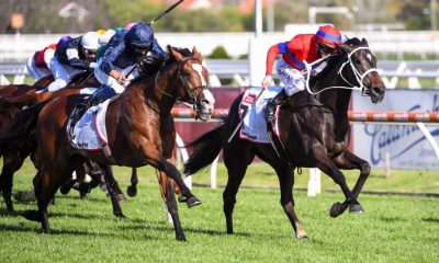 2020 Caulfield Cup