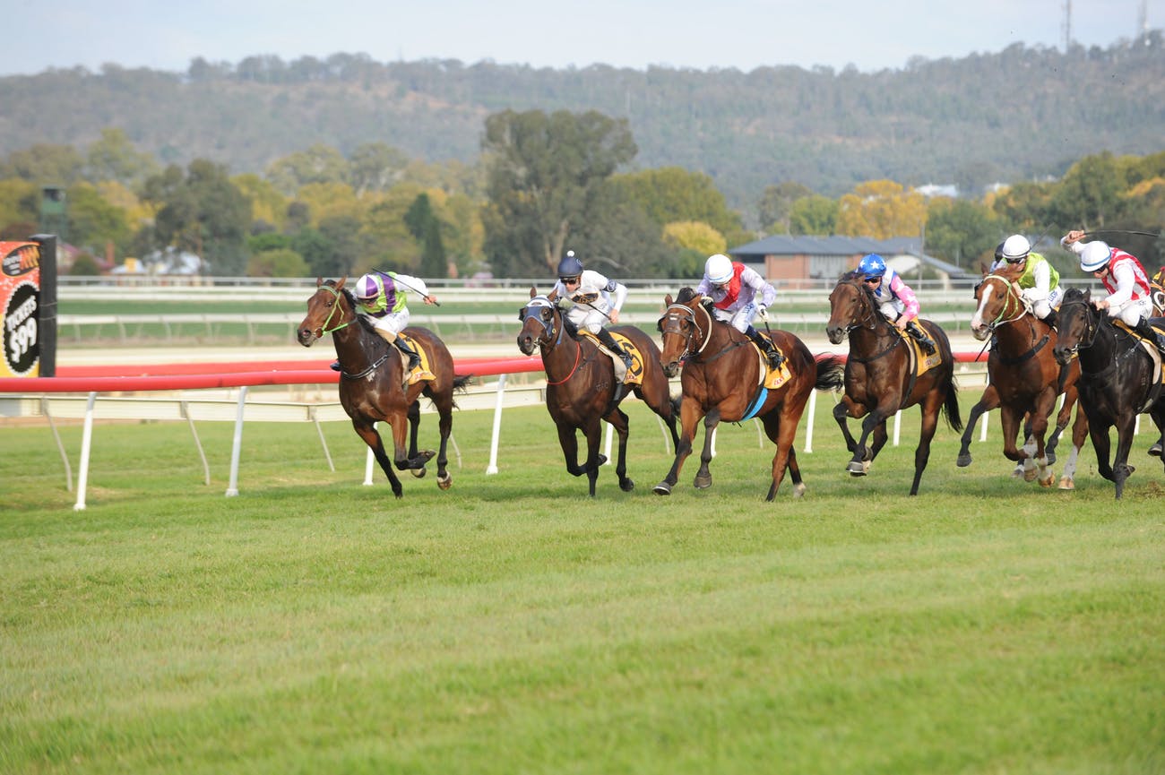 Wagga Racing Tips