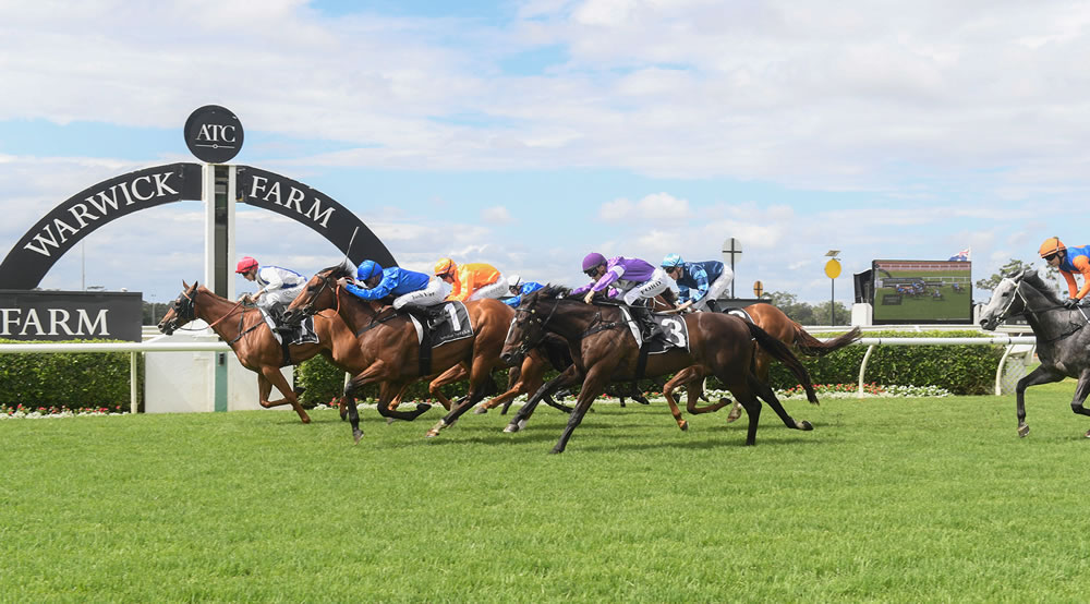 Warwick Farm Racing