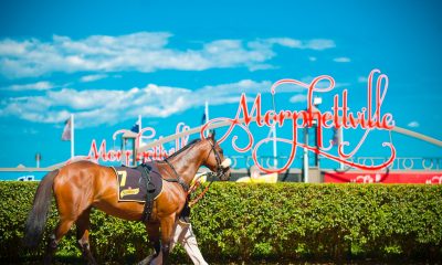 Morphettville racing tips