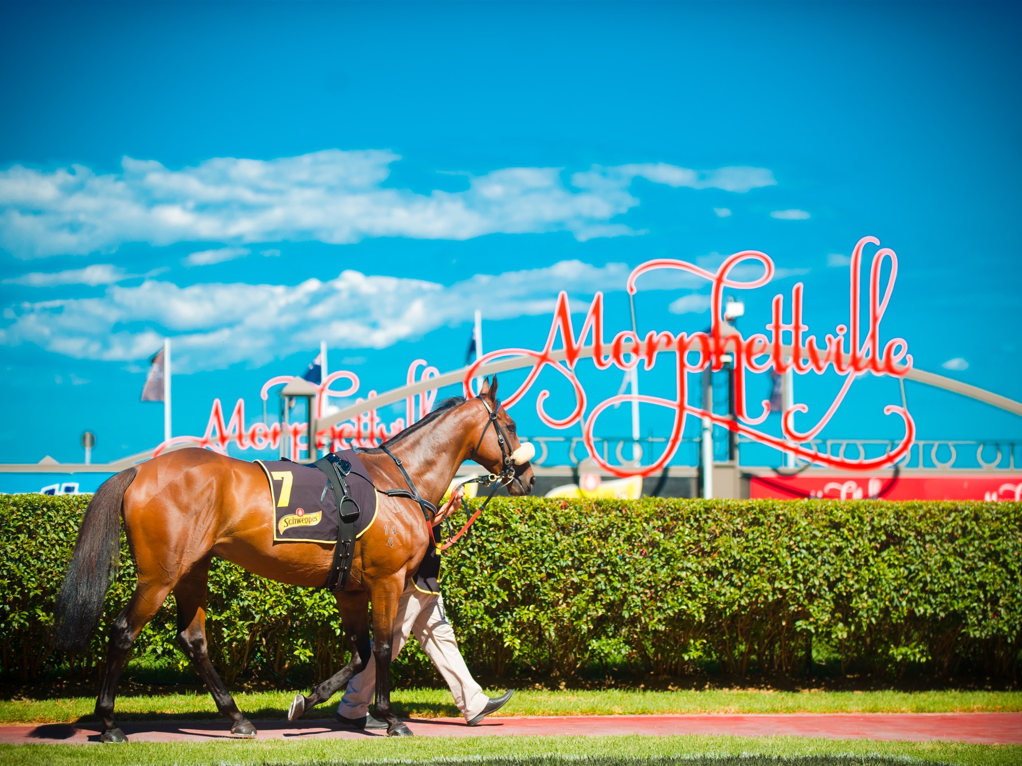 Morphettville racing tips