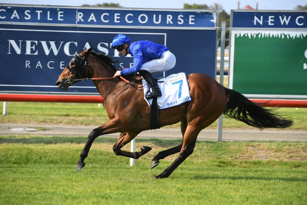Newcastle Racing Fs Newcastle Racing Tips: Wednesday, January 19th - RacingBet