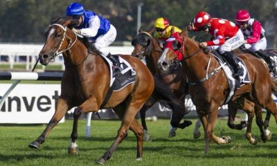 rosehillracecourse