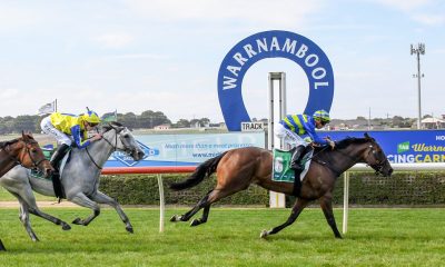 Warrnambool Racing Tips