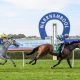 Warrnambool Racing Tips