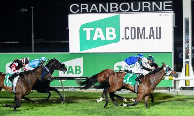 cranbourne racing tips