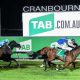 cranbourne racing tips