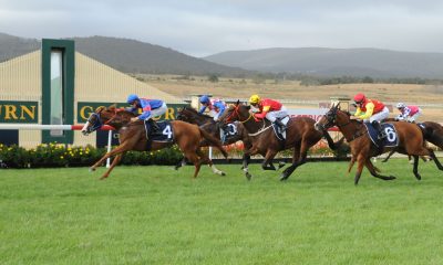 goulburn tips