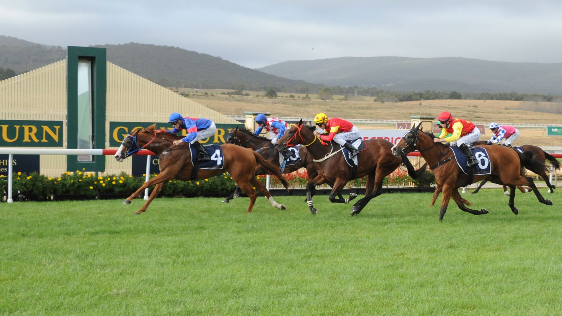 goulburn tips