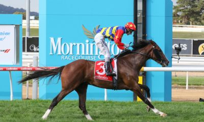 Mornington Racing tips