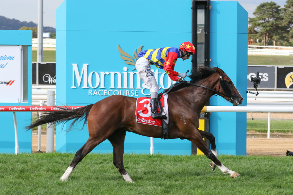 Mornington Racing tips