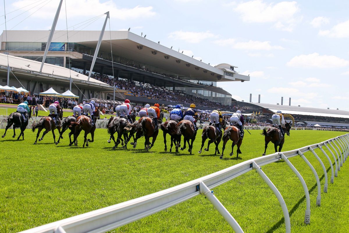 RosehillRaceCourse