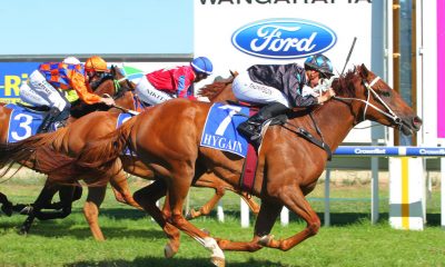 wangaratta racing tips