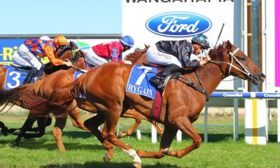 wangaratta racing tips