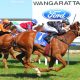 wangaratta racing tips