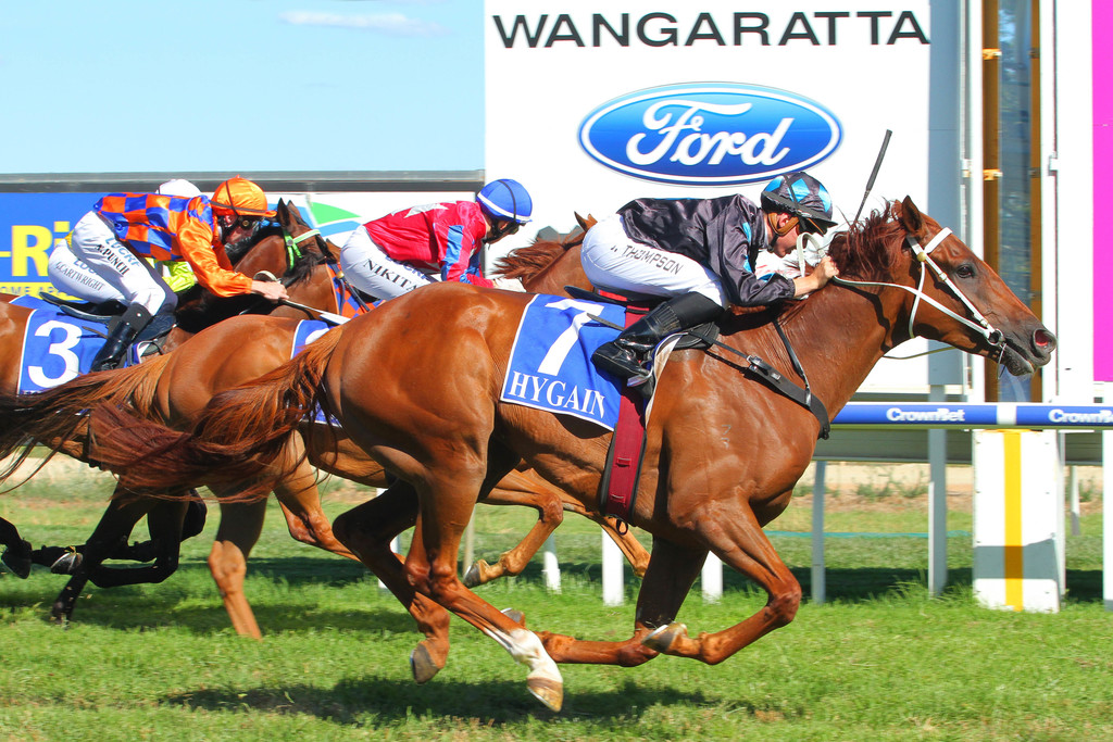 wangaratta racing tips