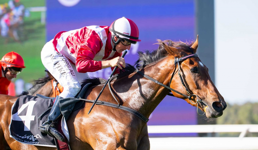 Ascot-Pike