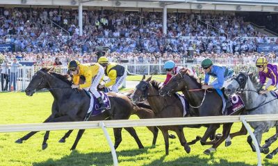 ascot-races