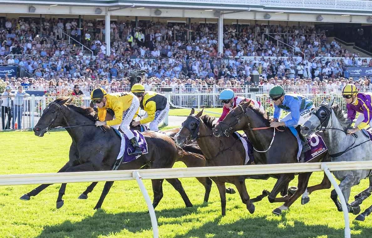 ascot-races