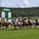 WellingtonRaceTrack