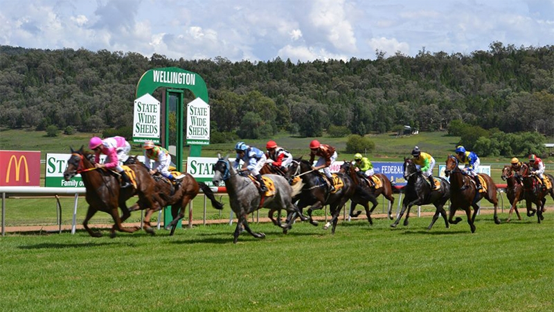 WellingtonRaceTrack