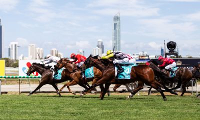 gold coast racing tips