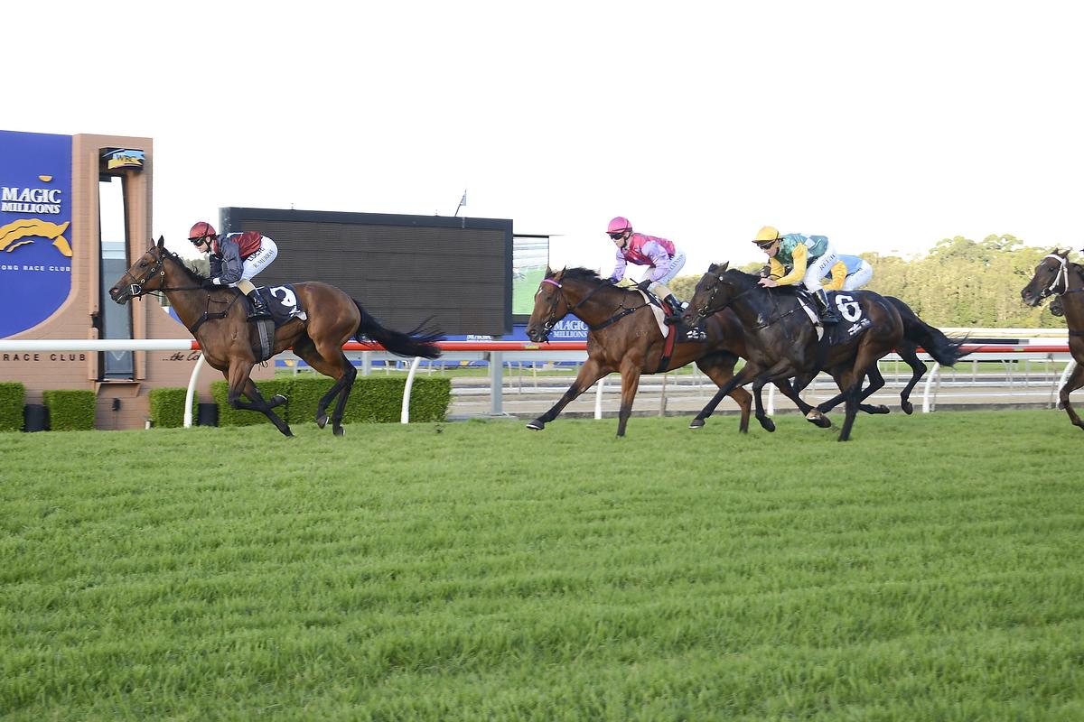 Wyong