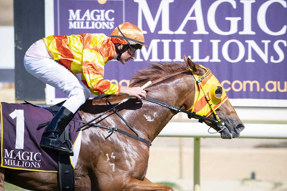 MagicMillions-Pinjarra