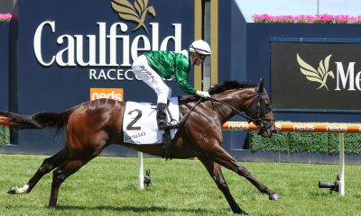 Blue Diamond Stakes