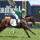 Blue Diamond Stakes