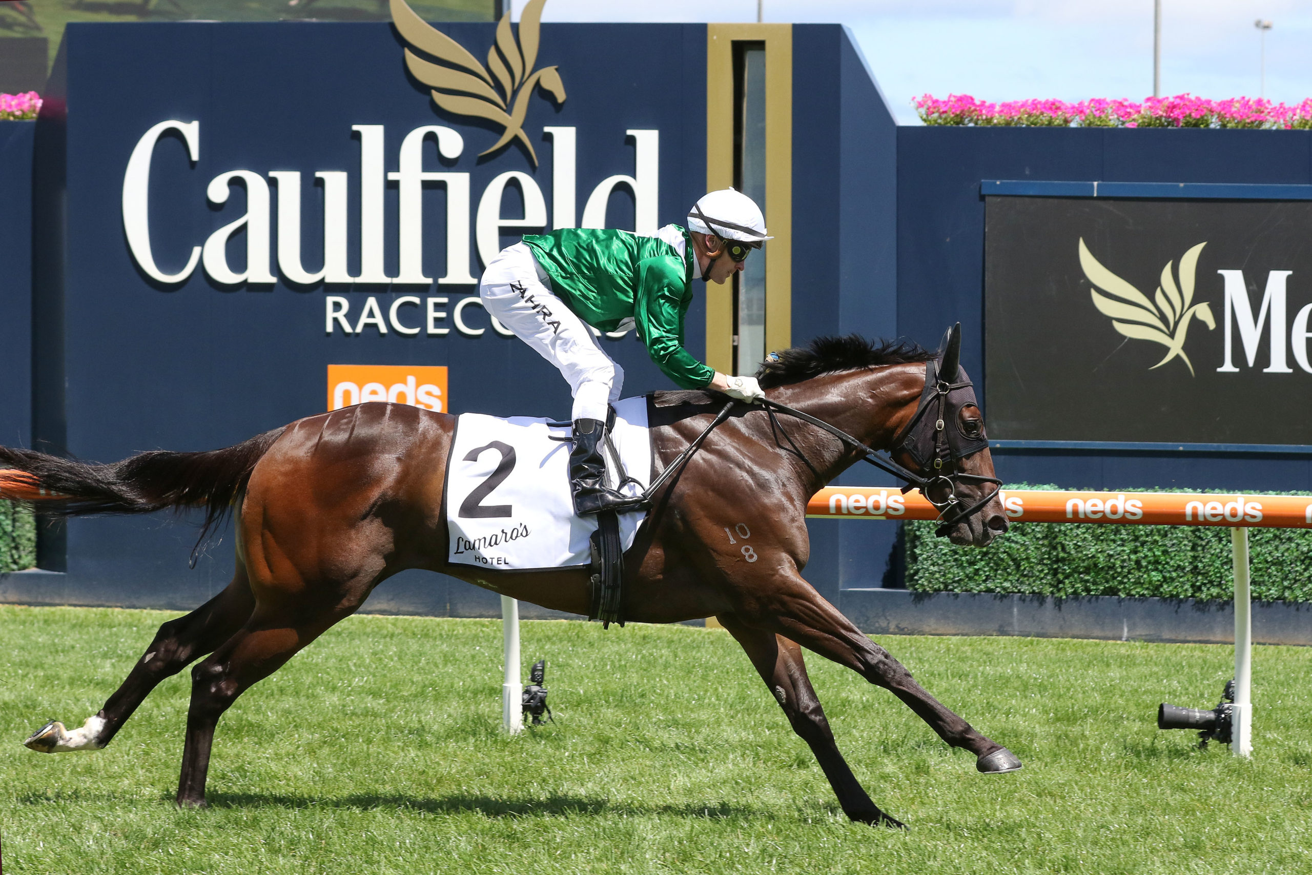 Blue Diamond Stakes