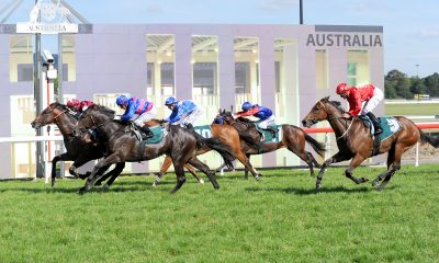 Canberra-BlackOpal