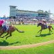 bunbury-turf-club