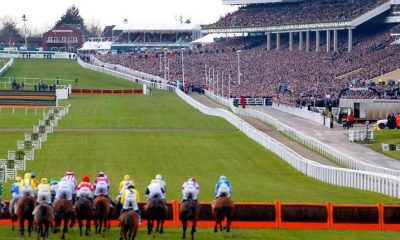 Cheltenham Racing