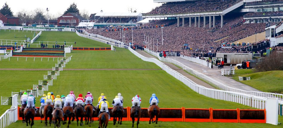Cheltenham Racing