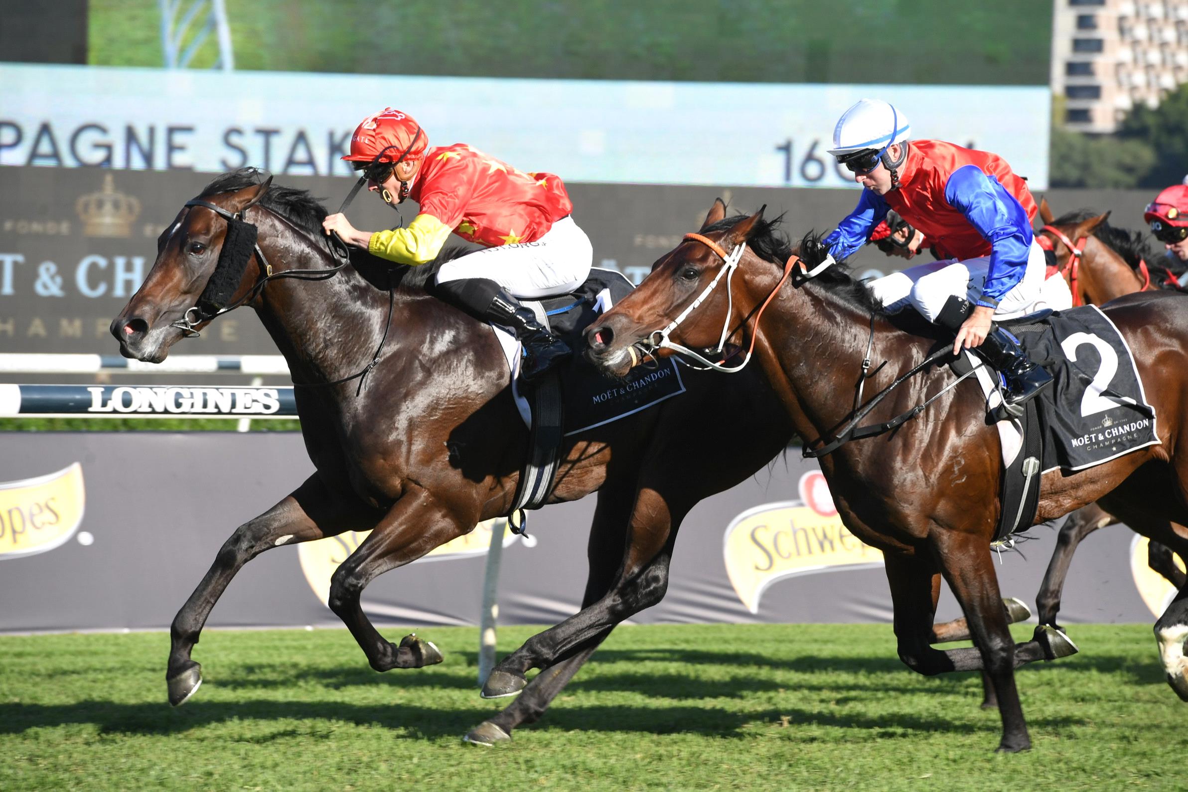 captivant-champagnestakes