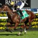 randwick-maskedcrusader