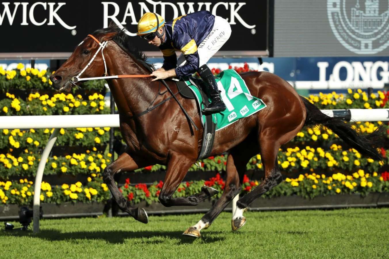 randwick-maskedcrusader