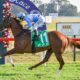 Hawkesbury
