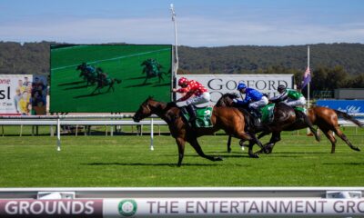 gosford-race-club