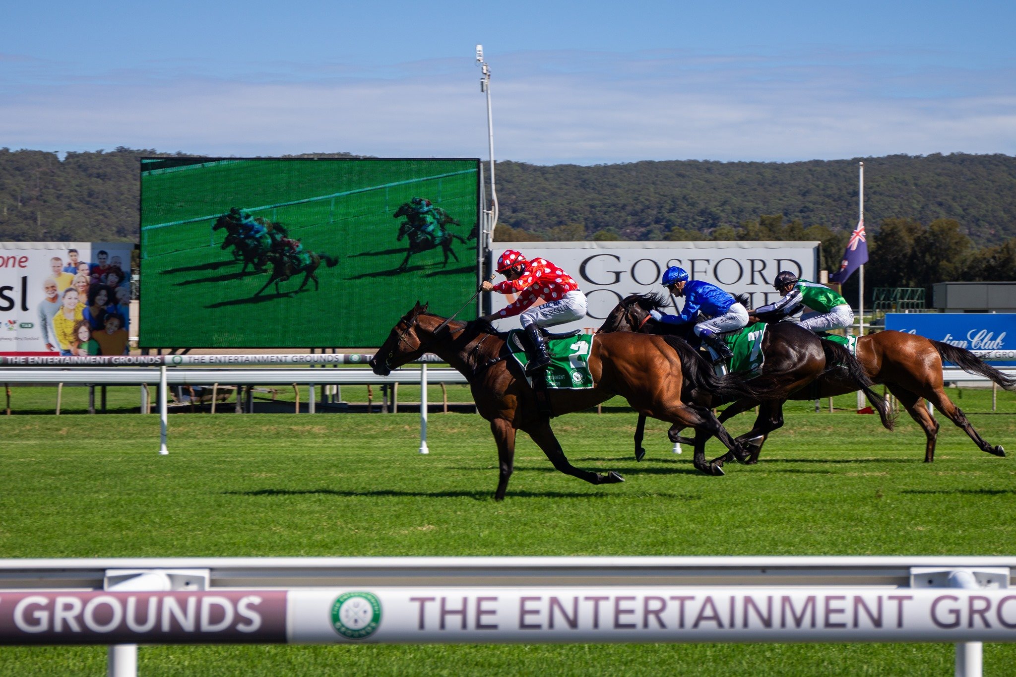 gosford-race-club