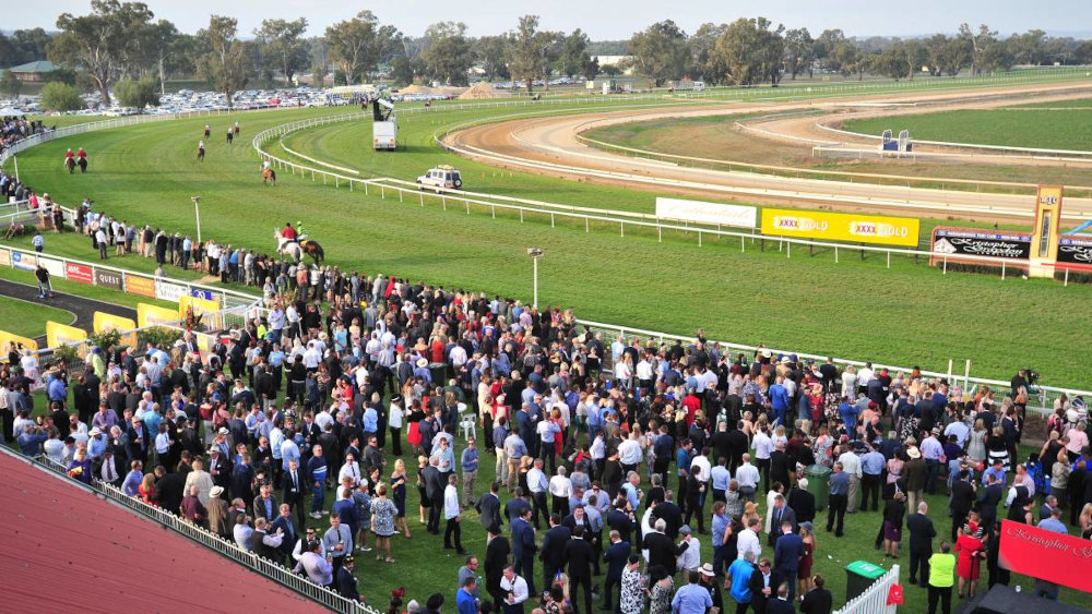 Wagga Gold Cup