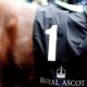 royalascot