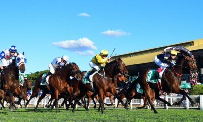 tofane-eaglefarm