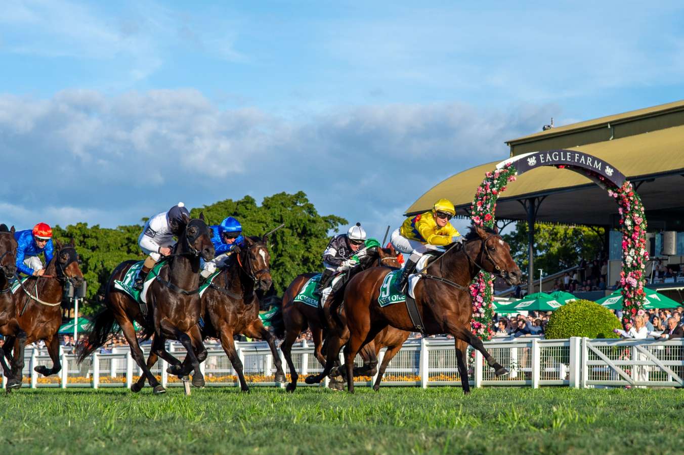 vegaone-eaglefarm