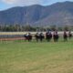 Rockhampton Racing Tips