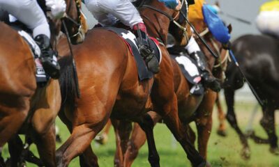Horse Racing
