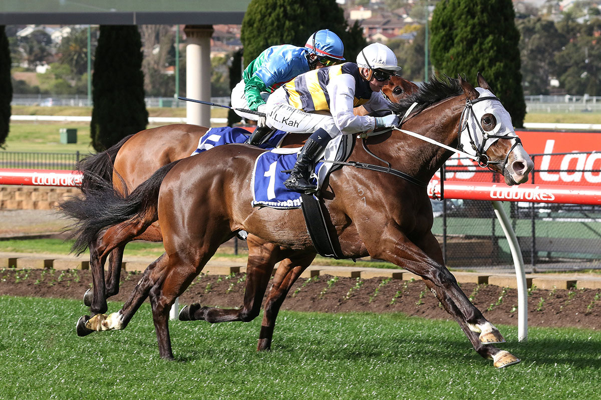 Im-Thunderstruck_31-07-2021_WIN_Moonee-Valley_5__912